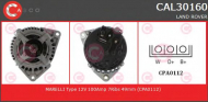 Генератор CASCO CAL30160