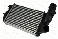 Теплообменник THERMOTEC DAF001TT