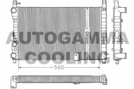 Теплообменник AUTOGAMMA 100298