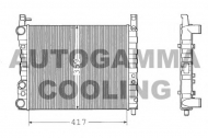 Теплообменник AUTOGAMMA 100299