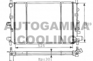 Теплообменник AUTOGAMMA 100347