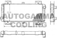 Теплообменник AUTOGAMMA 100351