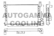 Теплообменник AUTOGAMMA 100331