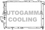 Теплообменник AUTOGAMMA 100469