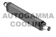 Теплообменник AUTOGAMMA 105210