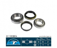 Комплект подшипника BTA H11003BTA