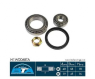 Комплект подшипника BTA H1W006BTA
