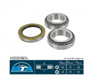 Подшипник BTA H20305BTA