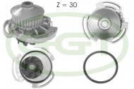 Насос GGT PA10592