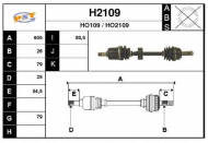Вал SNRA H2109