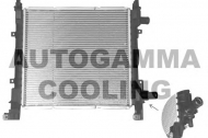 Теплообменник AUTOGAMMA 101332