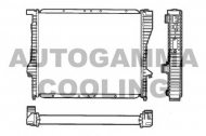 Теплообменник AUTOGAMMA 101362