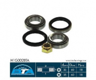 Комплект подшипника BTA H1G002BTA