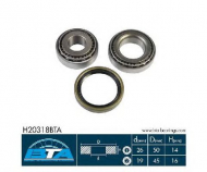 Комплект подшипника BTA H20318BTA