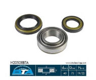 Комплект подшипника BTA H20508BTA