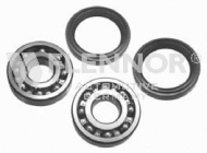 Комплект подшипника FLENNOR FR960524