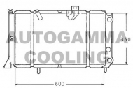 Теплообменник AUTOGAMMA 100305
