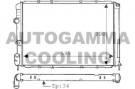 Теплообменник AUTOGAMMA 100903