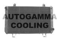 Теплообменник AUTOGAMMA 102095