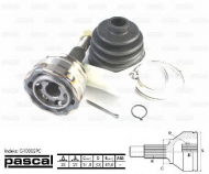 Шарнир PASCAL G10002PC