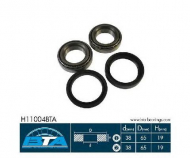 Комплект подшипника BTA H11004BTA