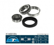 Комплект подшипника BTA H1M001BTA