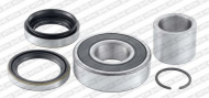 Комплект подшипника SNR R141.38