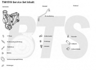 Компрессор BTS Turbo T981519