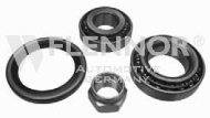 Комплект подшипника FLENNOR FR931563