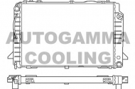 Теплообменник AUTOGAMMA 100051