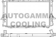 Теплообменник AUTOGAMMA 100059