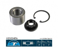 Комплект подшипника BTA H2G024BTA
