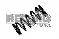 Пружина RECORD FRANCE 931106