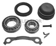 Комплект подшипника KAWE FR490917L