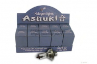 Лампа накаливания ASHUKI G220-02