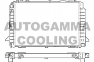 Теплообменник AUTOGAMMA 100050