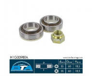 Комплект подшипника BTA H1G009BTA