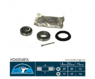 Комплект подшипника BTA H2A004BTA