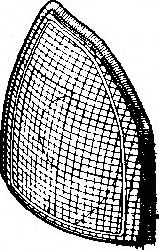 Фонарь SCHLIECKMANN 50109301