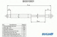 Газовая пружина BUGIAD BGS10001