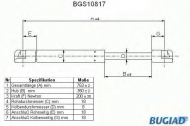 Газовая пружина BUGIAD BGS10817