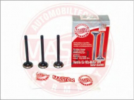 Клапан MASTER-SPORT 01EX-SET/4/-MS