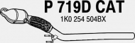 Катализатор FENNO P719DCAT