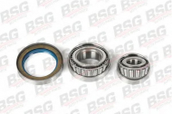 Комплект подшипника BSG BSG 60-600-003