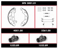 Комплект тормозов REMSA SPK 3001.01