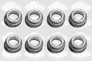 Комплект прокладок SASIC 9560050S