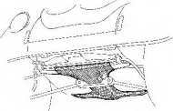 Днище SCHLIECKMANN 421800