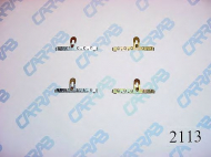 Комплектующие CARRAB BRAKE PARTS 2113