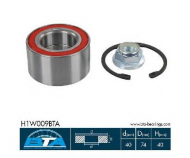 Комплект подшипника BTA H1W009BTA