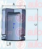 Поршень AUTOFREN SEINSA D025290